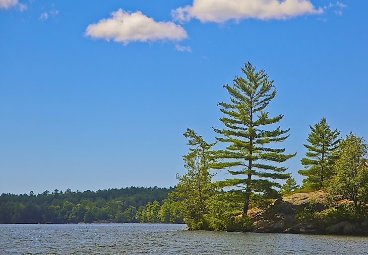 A pine-covered island in Georgian Bay, Lake Huron