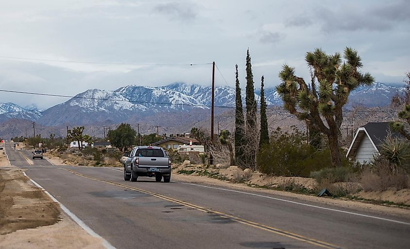 Joshua tree, california