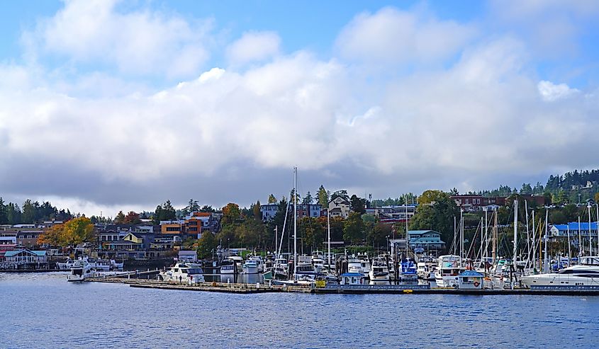 Port of Friday Harbor. Image credit EQRoy via Shutterstock.