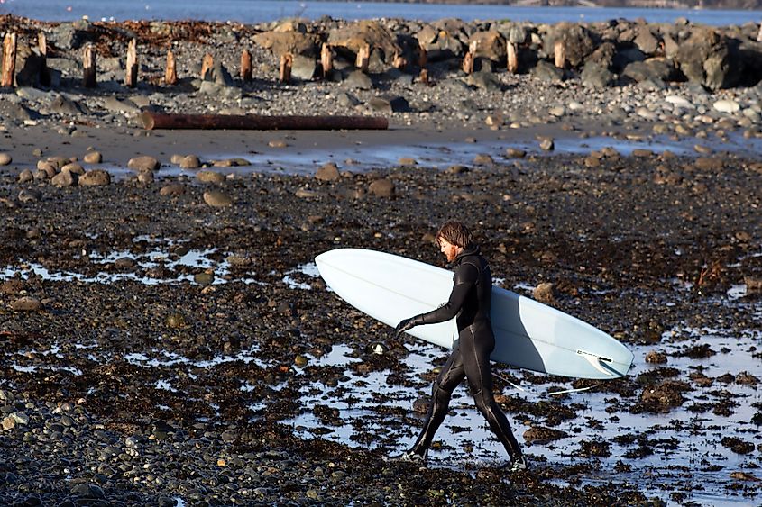 Surfer at Whiffin Spit in Sooke, British Columbia