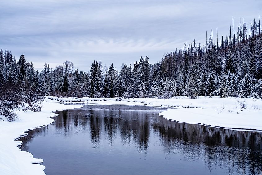 Scene in Glacier National Park outside Kalispell, Montana.