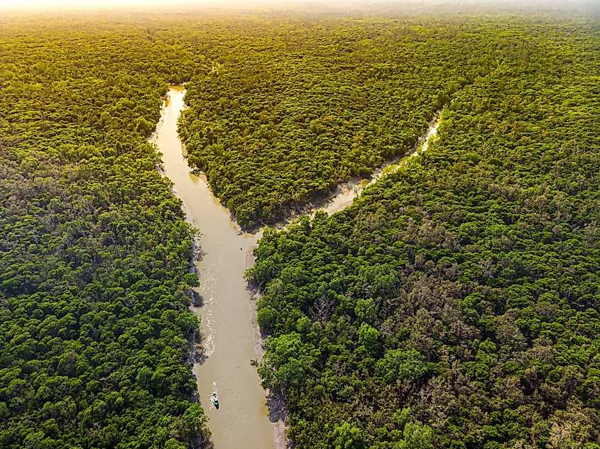 Ganges delta