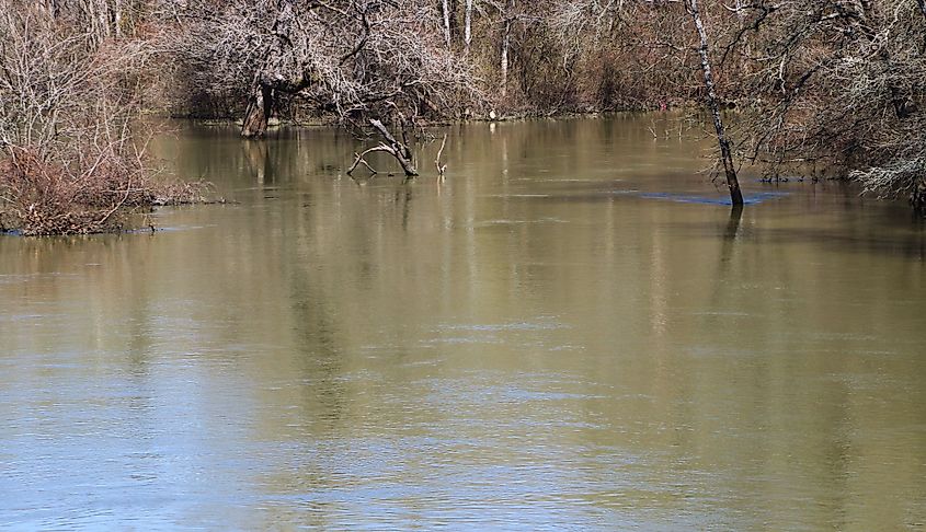 A view of the Sabine River in Mineola, Texas