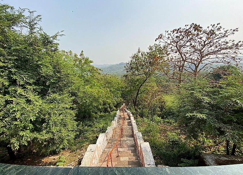 Aarey forest in Mumbai