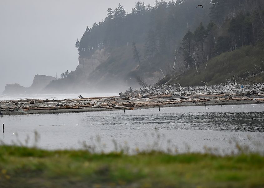 Taholah Beach and Quinault River, Washington.