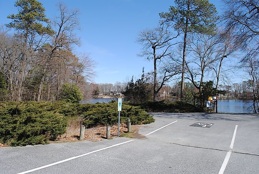 Chipman Pond, Laurel, DE