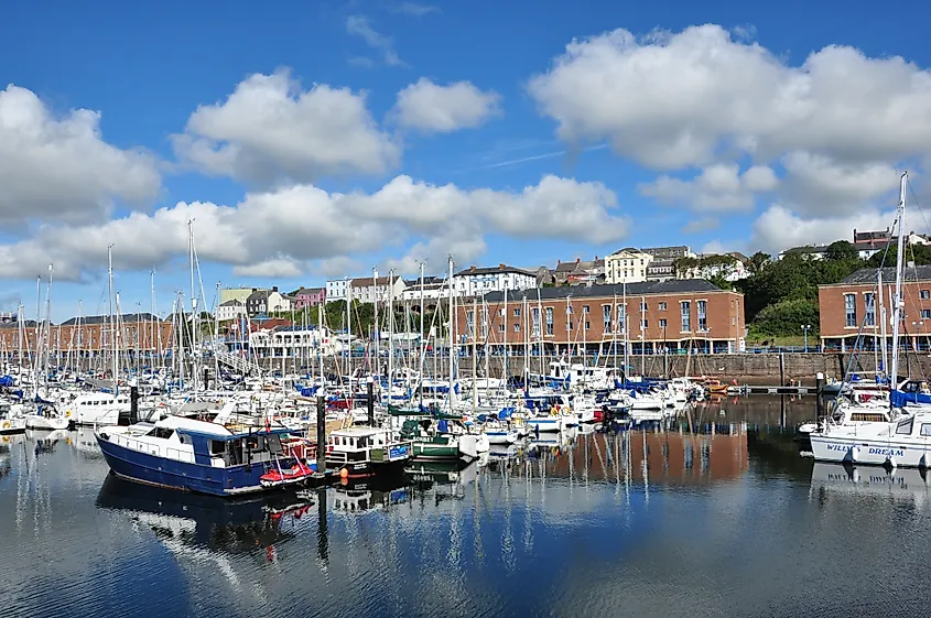 Boats and yachts moored at Milford Marina in Milford Haven, Pembrokeshire, Wales.