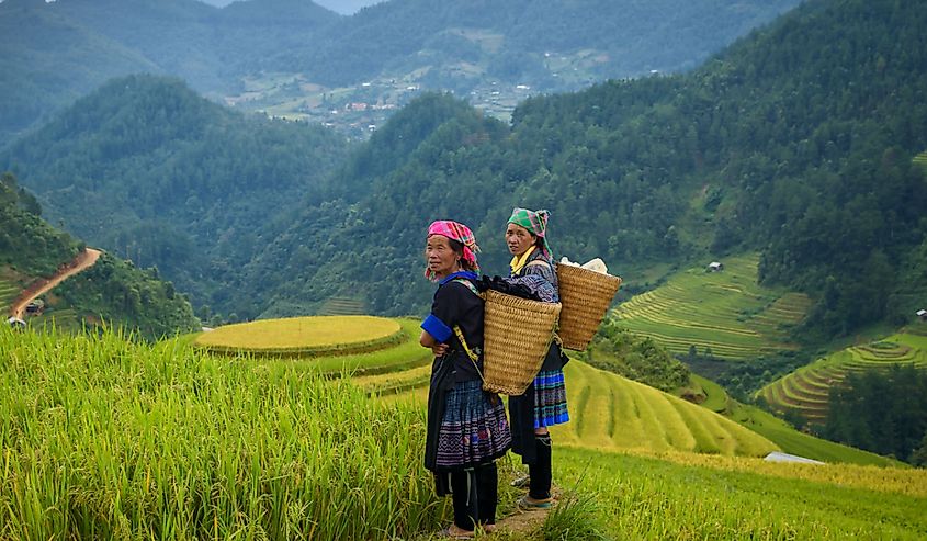 Tribal farmer on rice terraces mountain in The Philippines