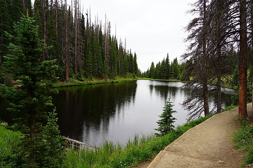 A peaceful moment at Lake Irene in Rocky Mountain National Park, Colorado