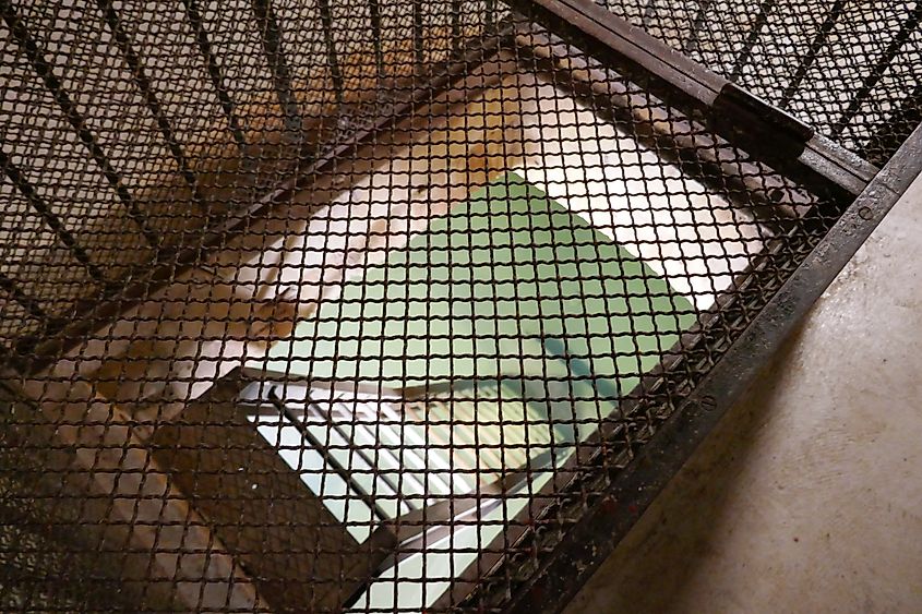 The underground reservoir below the Palais Garnier opera house in Paris, France. 
