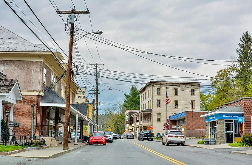 View of the Main Street in Narrowsburg, New York