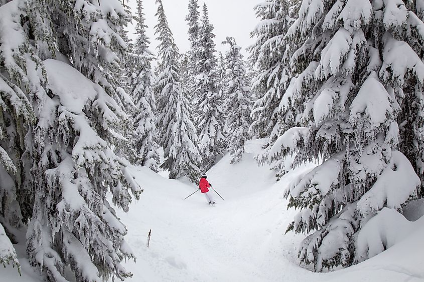 Skiing mount hood