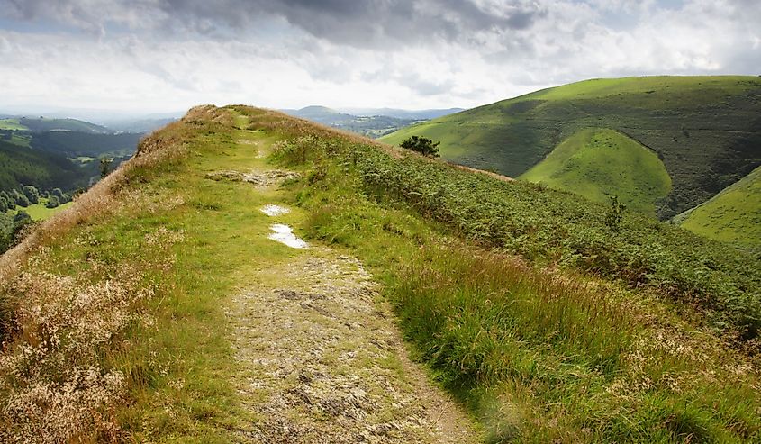 View from Sugar Loaf in mid Wales near Llanwrtyd Wells