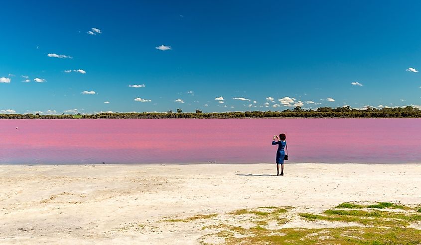 Woman takes a photo of Pink Lake, a salt lake tourist attraction near the town of Dimboola