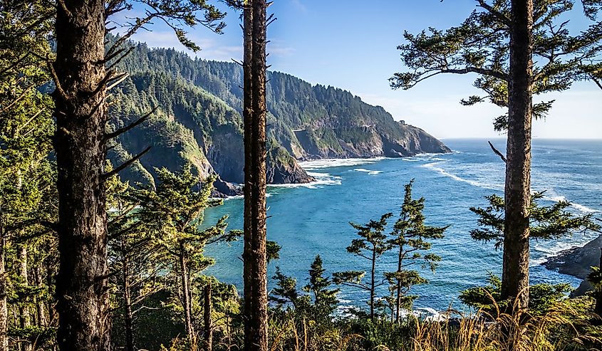 Heceta Head Lighthouse State Park Scenic Viewpoint in Florence, Oregon