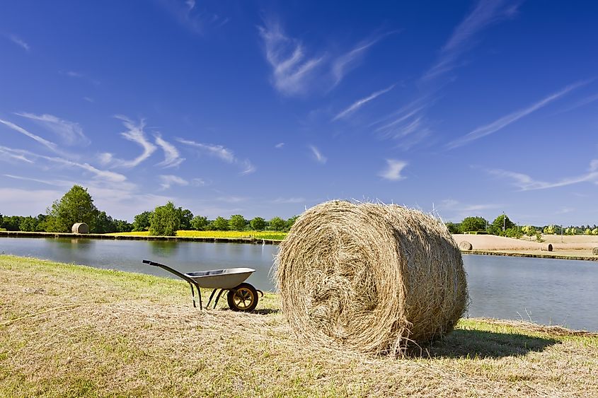 Bales of Hay