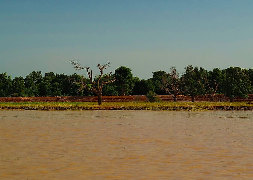 The Niger River near Niamey