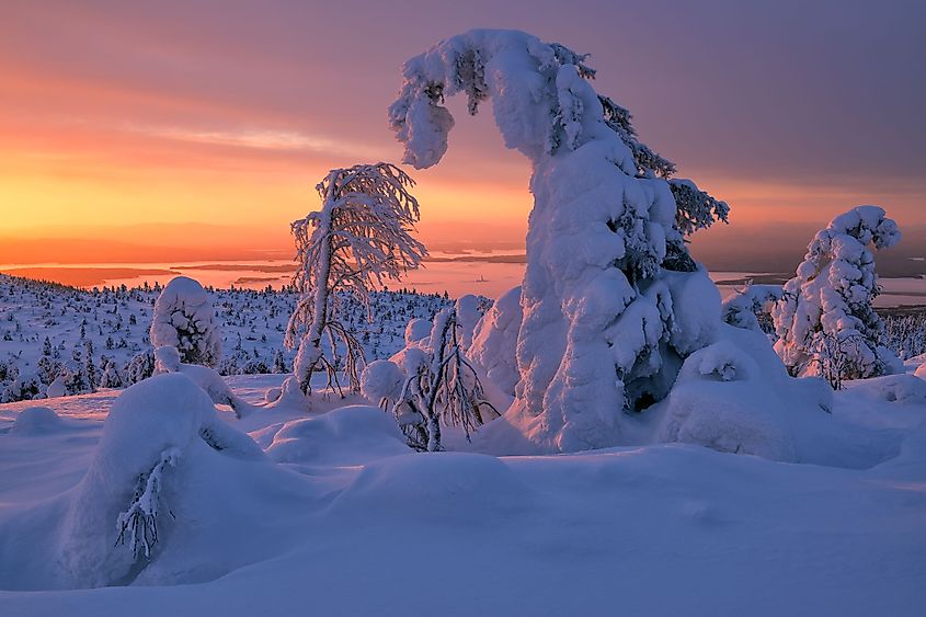 winters in Kola Peninsula