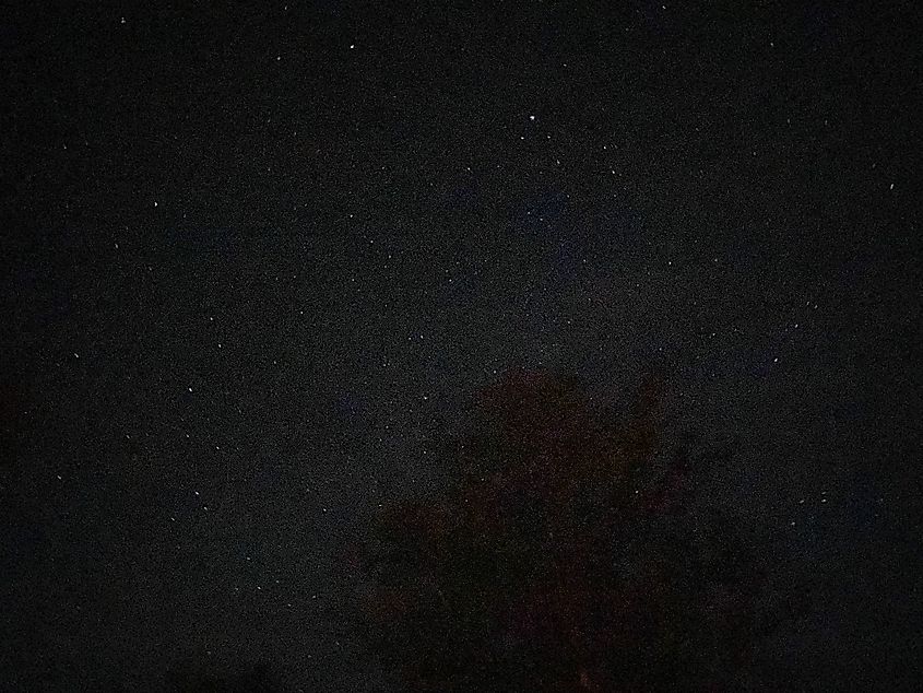 A starry sky seen from a campsite fire below.