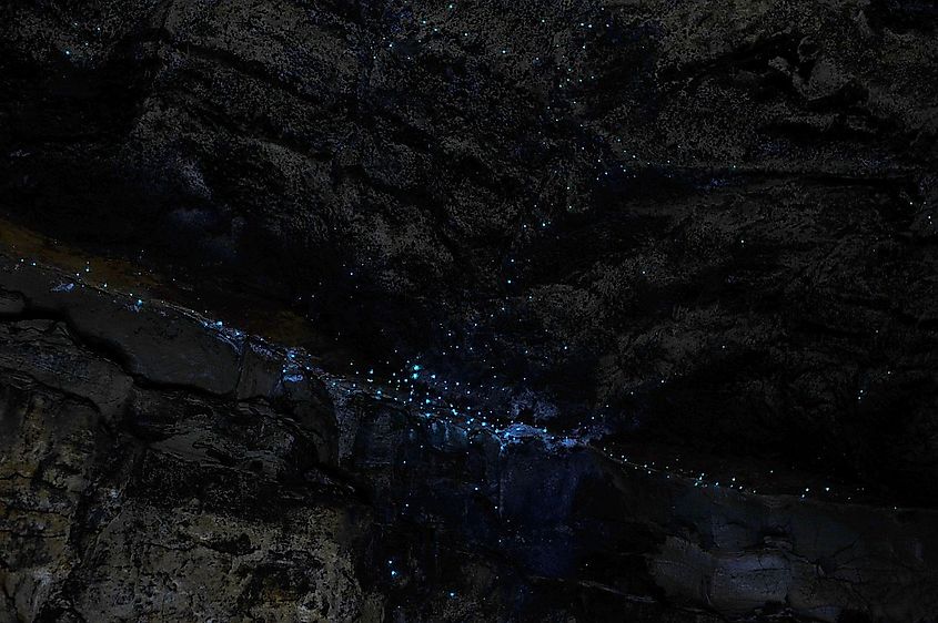 Newnes and the Glow Worm Tunnel, New South Wales, Australia.