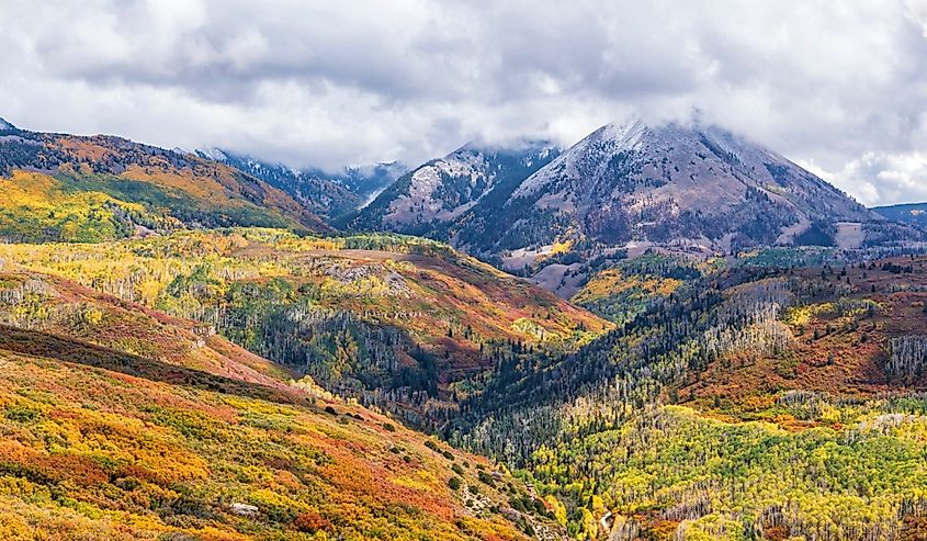 Vivid patches of Autumn color in scrub oak and aspen forests in the Manti-La Sal National Forest below Haystack Mountain near Moab, Utah.