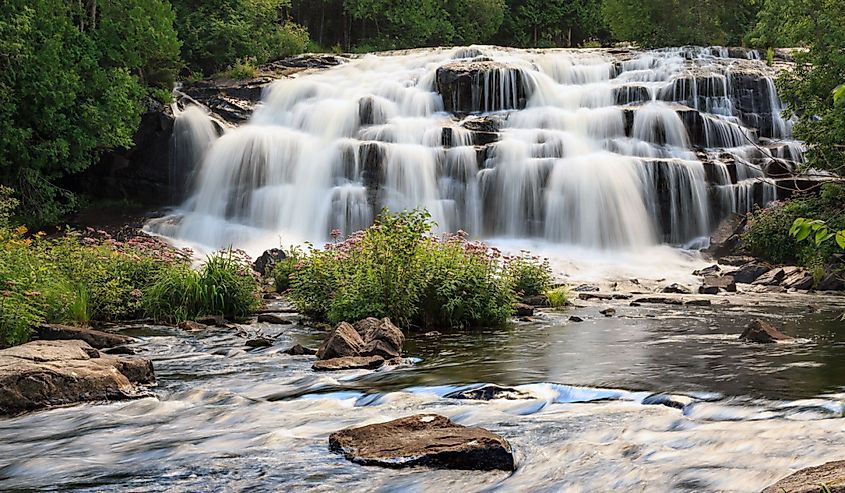 Bond Falls surrounded by wild flowers in the Upper Peninsula of Michigan