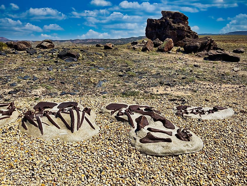 Dinosaur Bone Displays at Jurassic National Monument and the Cleveland Lloyd Quarry in Utah.