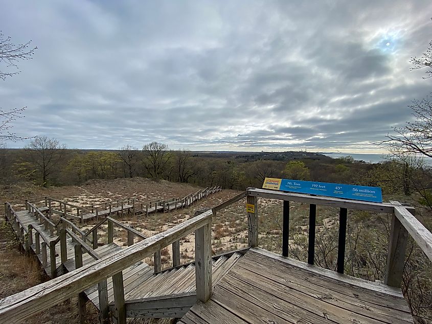 A series of wooden staircases leads up/down a grass covered sand dune system