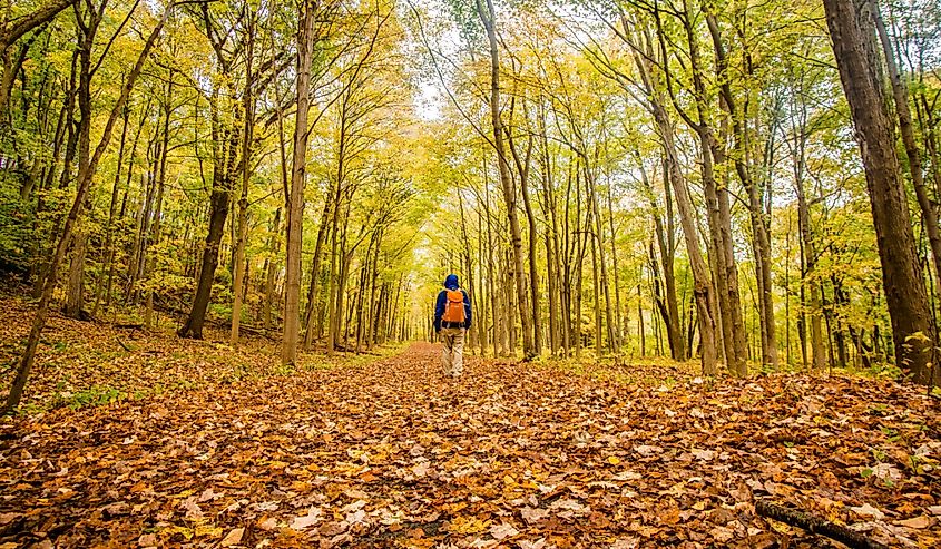 Fall hike in Sleeping Giant State Park