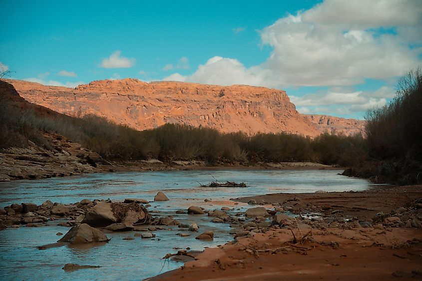 San Juan River flowing near Bluff, Utah.