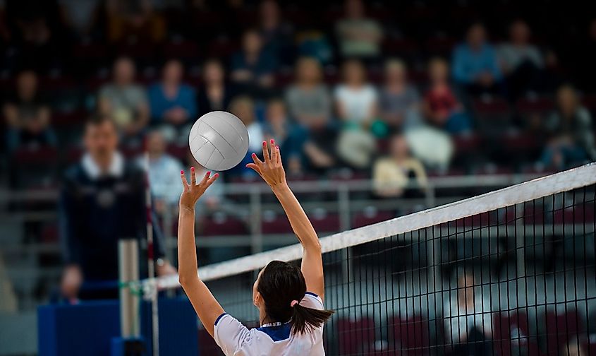 Volleyball Player 