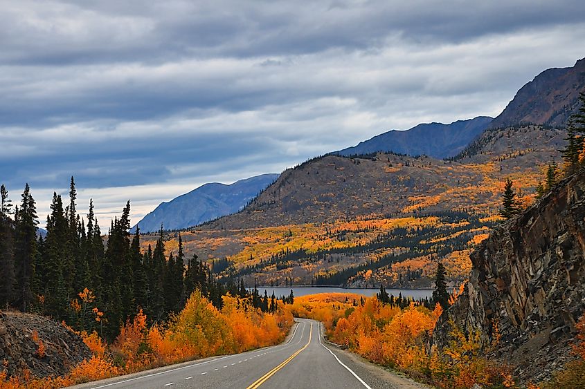 Autumn colors along the South Klondike Highway in Yukon, Canada
