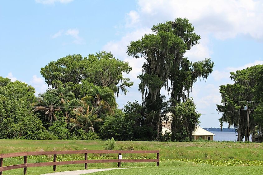 Beautiful landscape scenery with a house in the background overlooking Lake Istokpoga