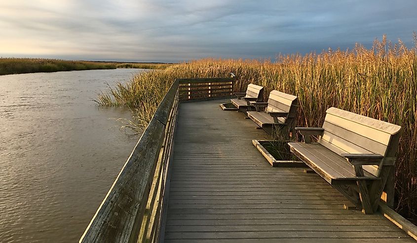 Bombay Hook National Wildlife Refuge