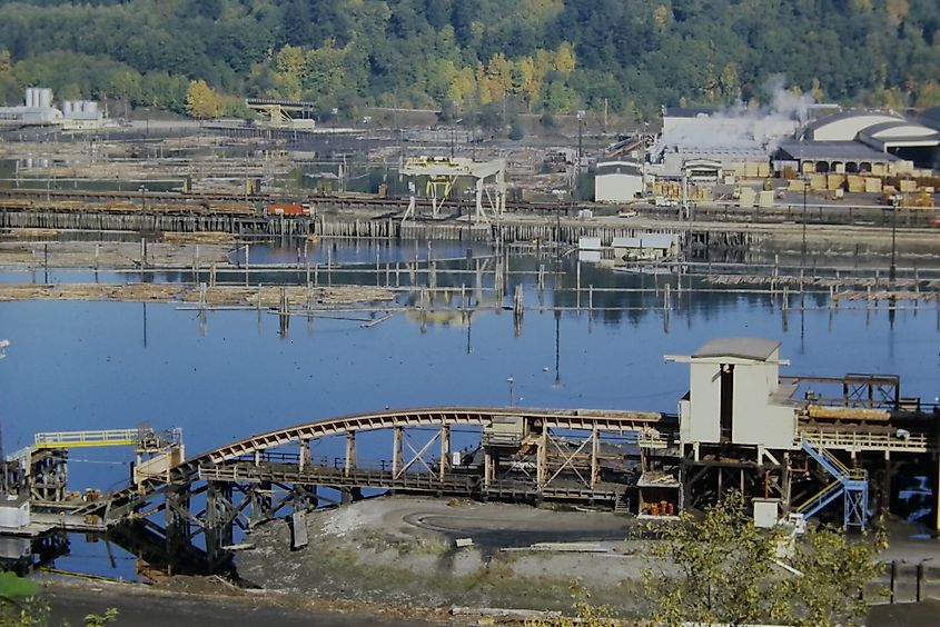 Simpson Lumber Mill, Shelton, WA, circa 1978, featuring its train loaded with timber.