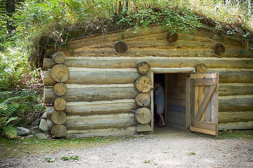 Sod roof at Forest History Center. This would be the root house not a cabin