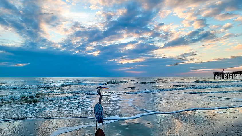 A spectacular sunset in Redington Beach, Florida
