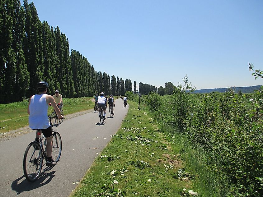 Sammamish River bike trail from Bothell to Redmond. Editorial credit: Robert Ashworth from Bellingham, WA., USA via Wikimedia Commons