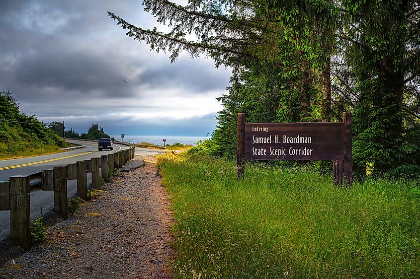 Road leading into Samuel H. Boardman State Scenic Corridor in Oregon