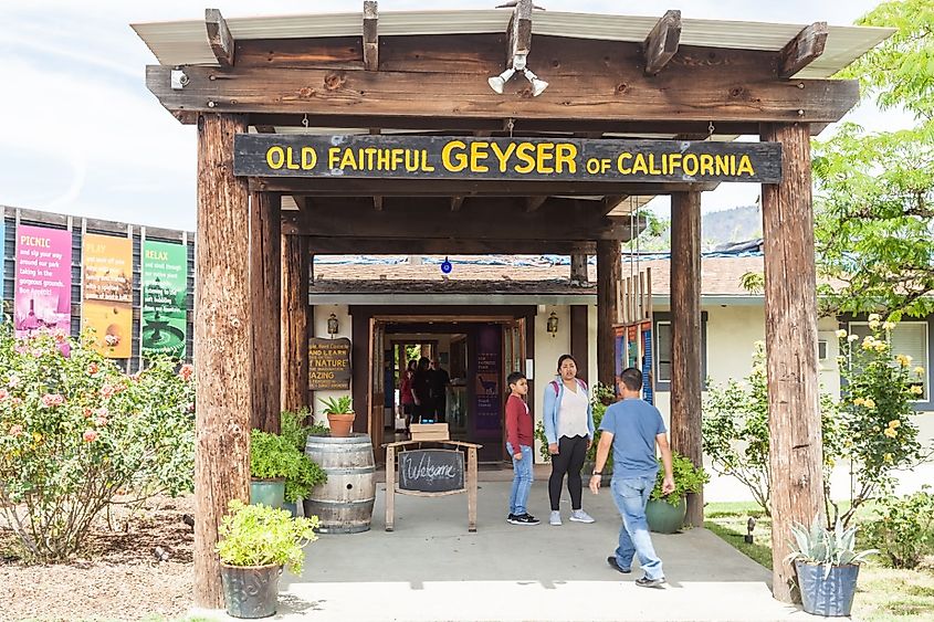 Old Faithful Geyser in Calistoga, Napa Valley, California.