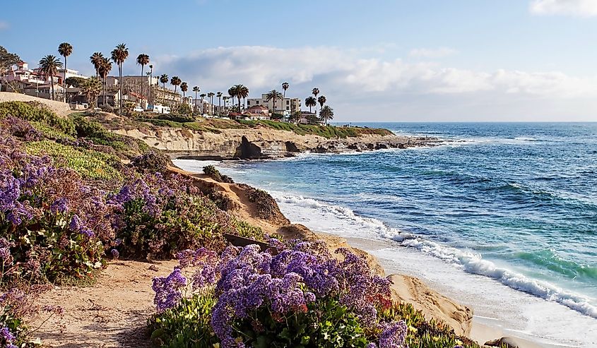 La Jolla, Southern California, United States of America