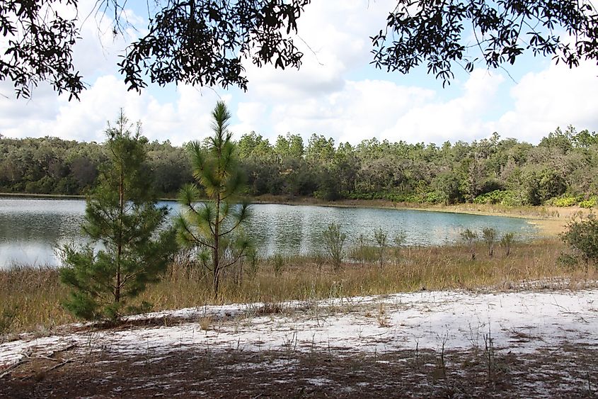 Lake located in Mike Roess Gold Head Branch State Park