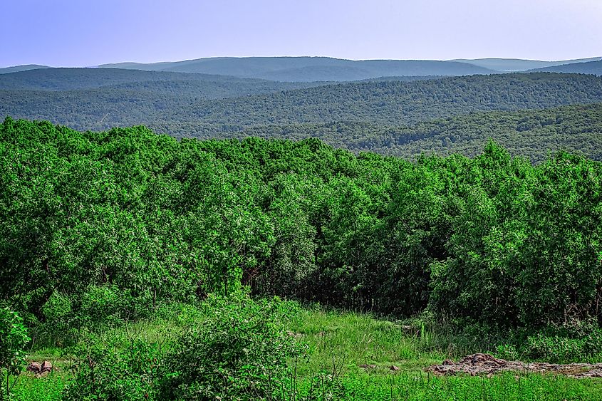 A panoramic view of the eastern Ozarks, in Missouri, from the top of Taum Sauk Mountain