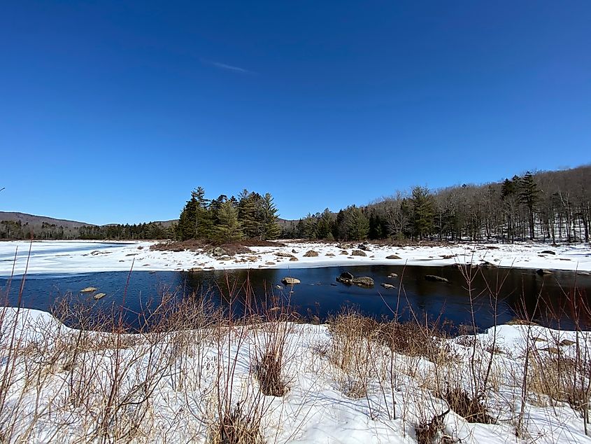 Pillsbury State Park in winter.