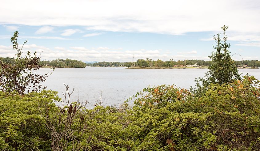 Lovely evening scene at Lake Bowen in upstate South Carolina: Greenery and the top of a tree in focus in the foreground with the lake in the background.