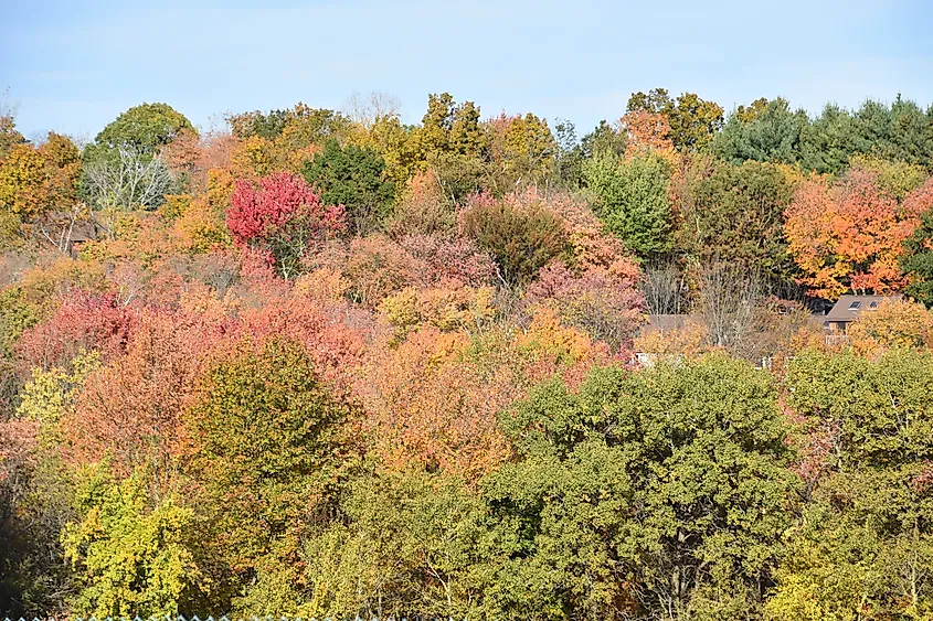 Fall Colors in Bethlehem, Connecticut