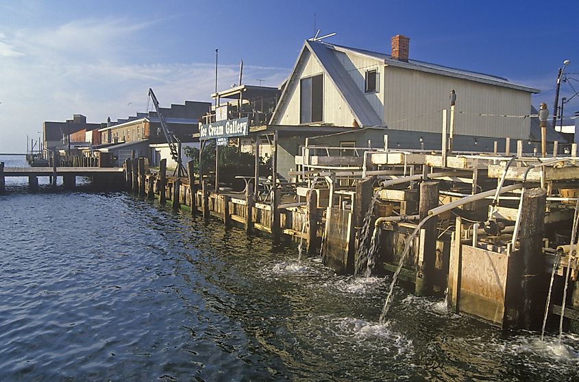 Harbor, Crisfield, Maryland