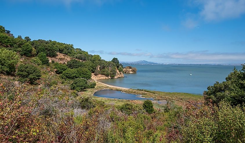 Landscape view at San Pablo Bay at China Camp State Park in San Rafael, Marin County, Northern California.