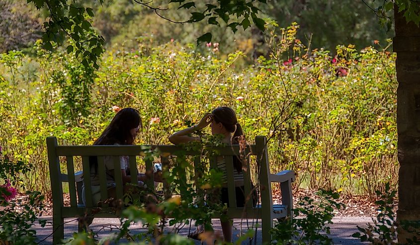 Two woman talk on a bench at the Columbus Park of Roses in late summer.