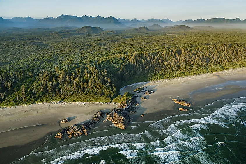 Rocky coastline and temperate rainforest at Pacific Rim National Park Reserve, British Columbia.